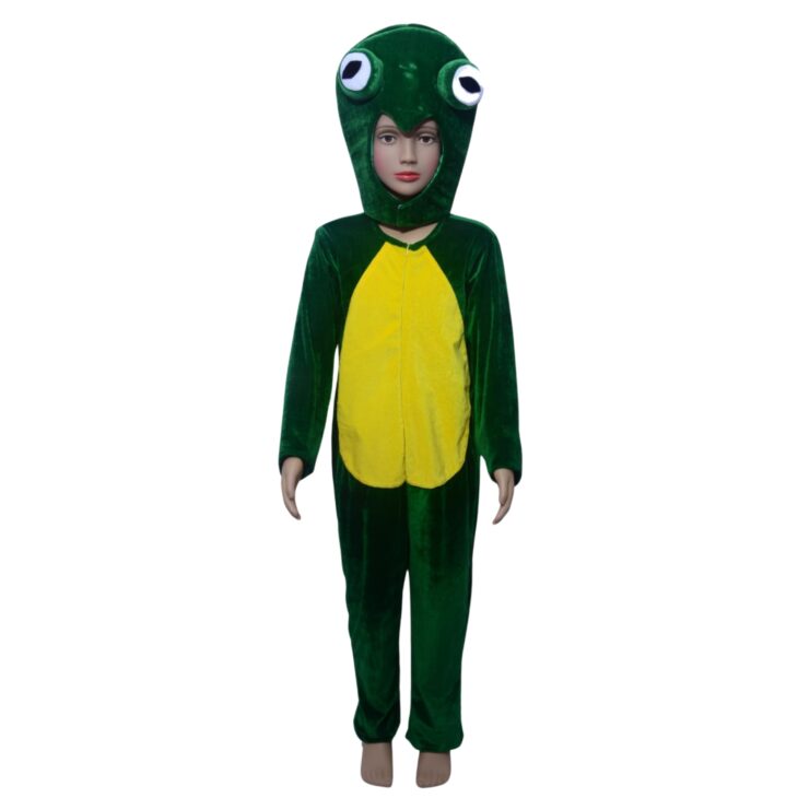 Frog costume