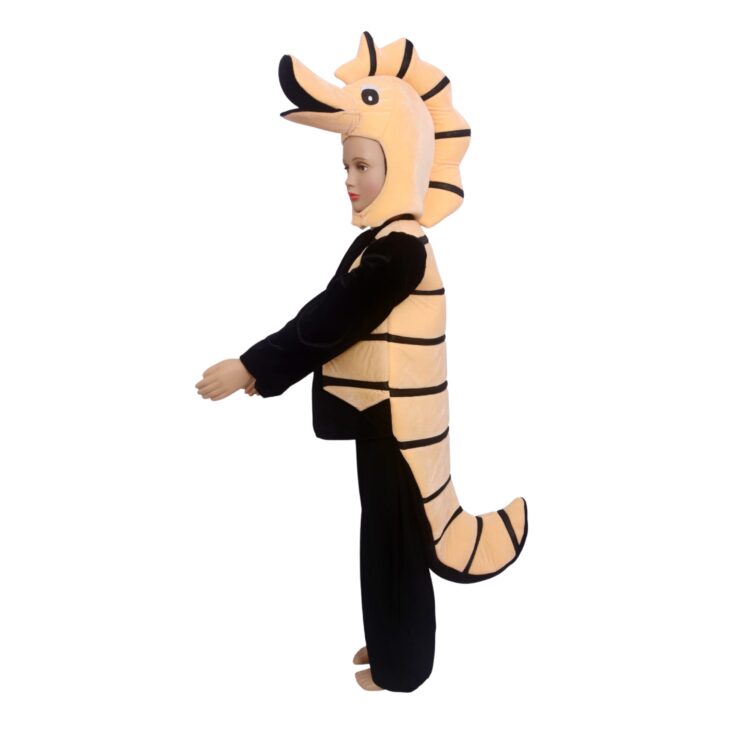 Sea horse costume