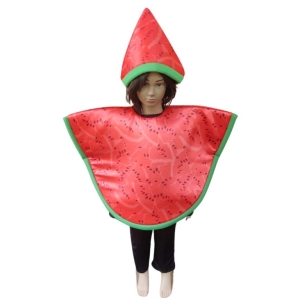 Watermelon costume