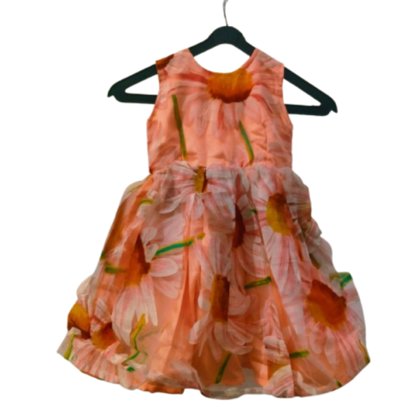 Cream color with flower printed fancy dress